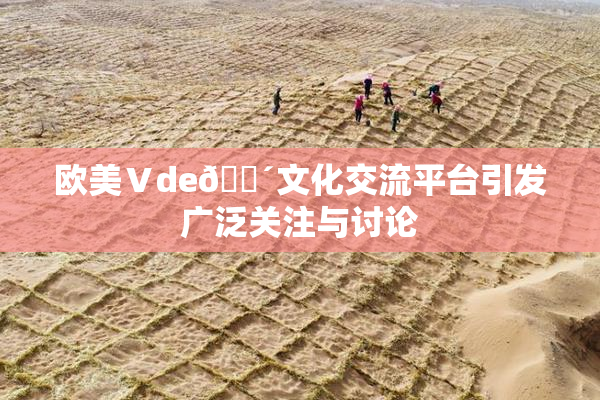欧美Ⅴde🔴文化交流平台引发广泛关注与讨论