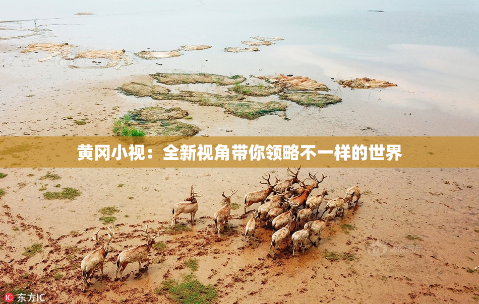 黄冈小视：全新视角带你领略不一样的世界