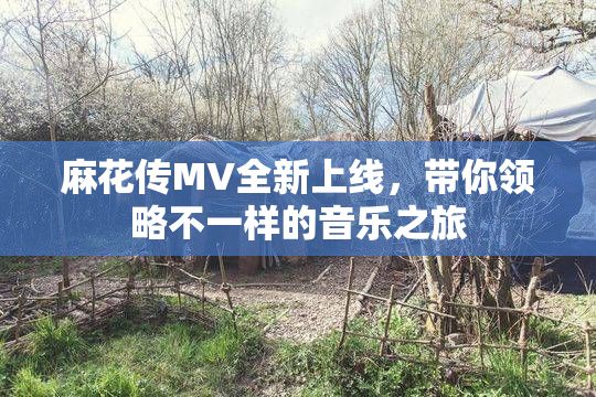麻花传MV全新上线，带你领略不一样的音乐之旅