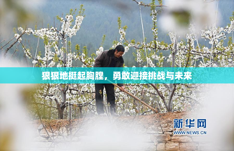 狠狠地挺起胸膛，勇敢迎接挑战与未来