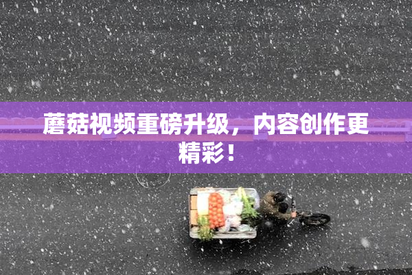蘑菇视频重磅升级，内容创作更精彩！