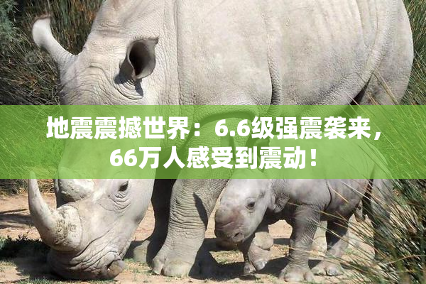 地震震撼世界：6.6级强震袭来，66万人感受到震动！