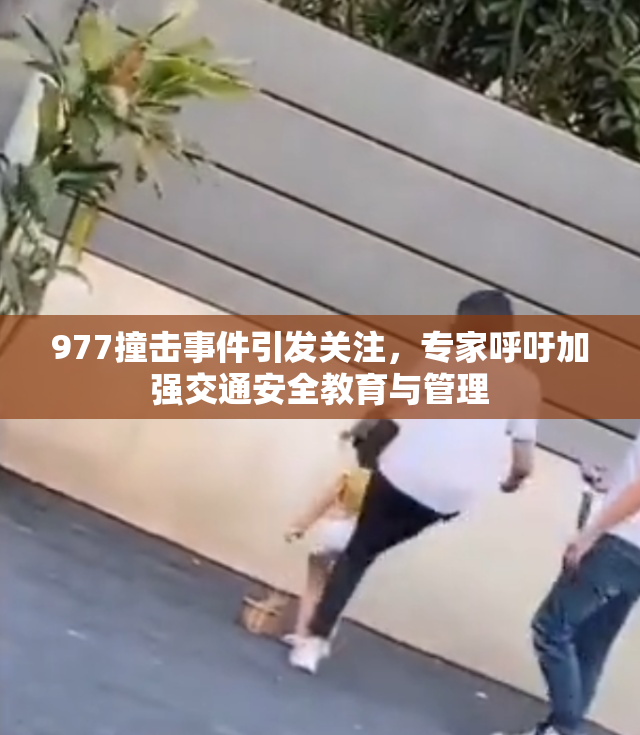 977撞击事件引发关注，专家呼吁加强交通安全教育与管理