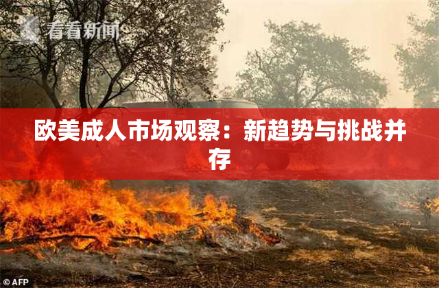 欧美成人市场观察：新趋势与挑战并存