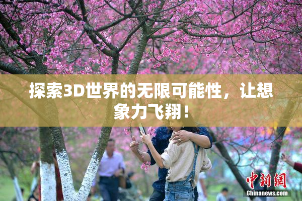 探索3D世界的无限可能性，让想象力飞翔！