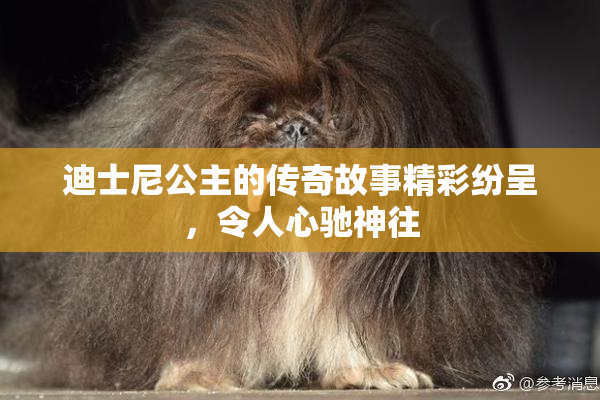 迪士尼公主的传奇故事精彩纷呈，令人心驰神往
