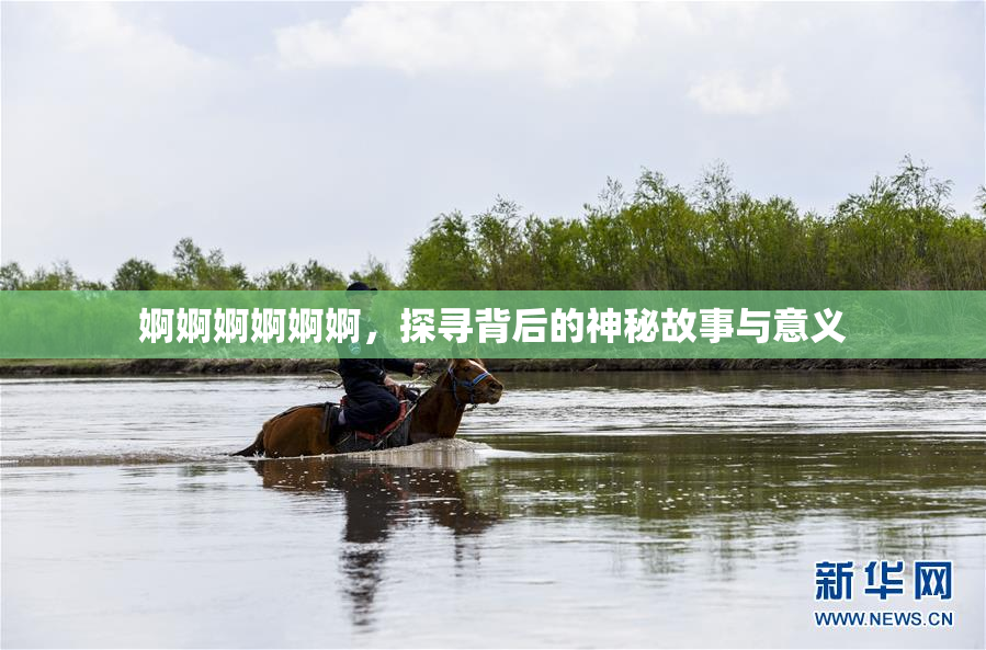 婀婀婀婀婀婀，探寻背后的神秘故事与意义