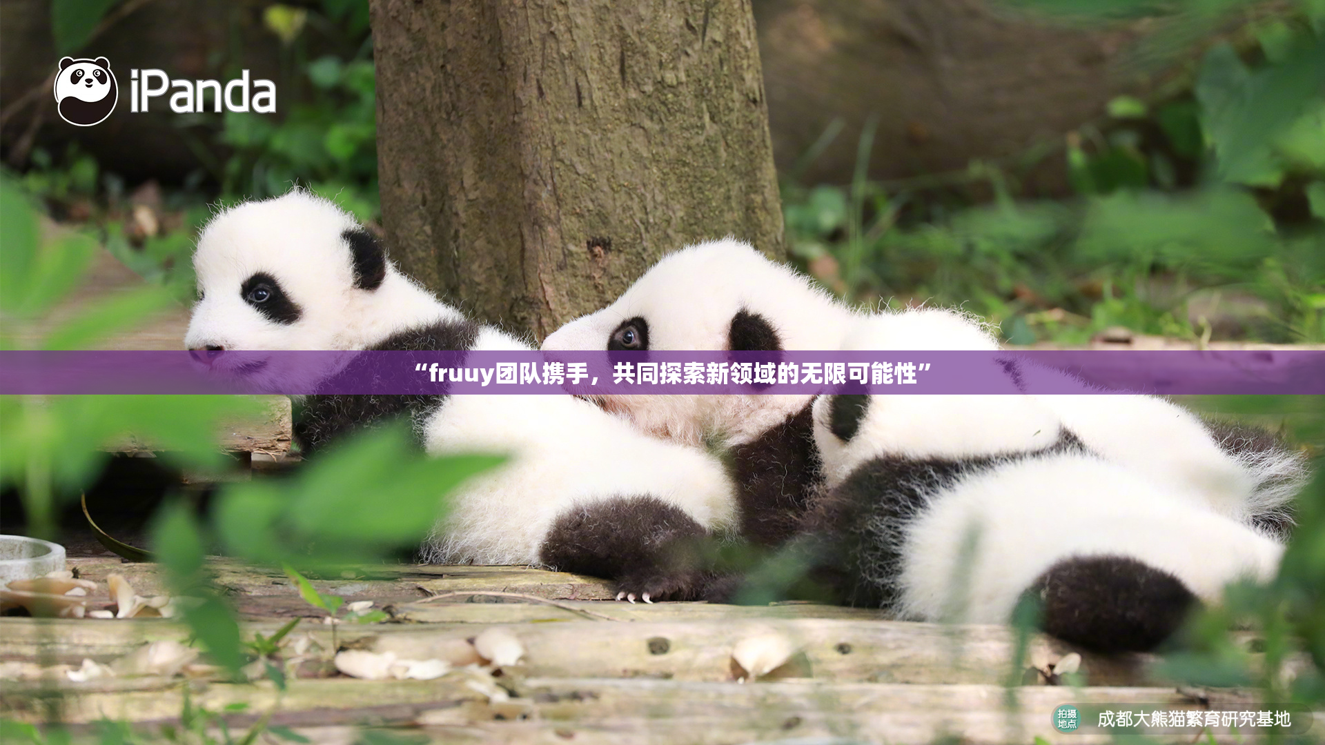 “fruuy团队携手，共同探索新领域的无限可能性”