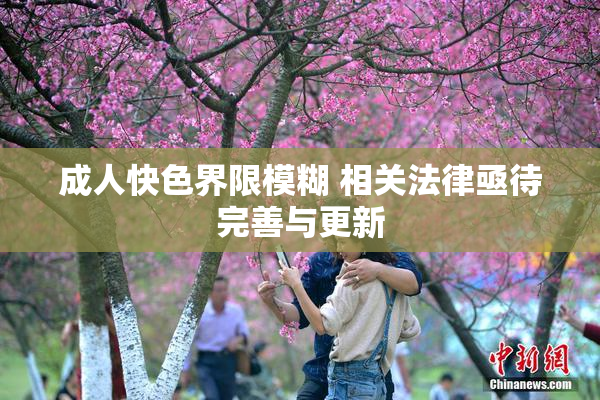 成人快色界限模糊 相关法律亟待完善与更新