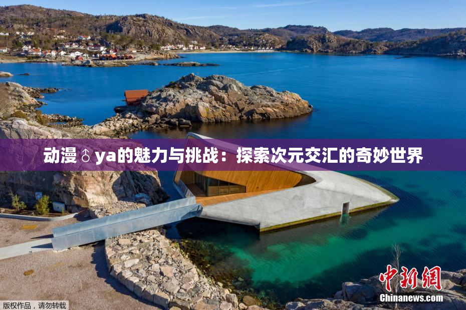 动漫♂ya的魅力与挑战：探索次元交汇的奇妙世界