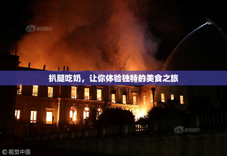 扒腿吃奶，让你体验独特的美食之旅