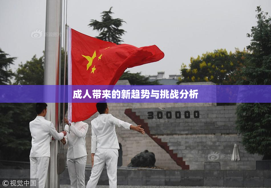 成人带来的新趋势与挑战分析