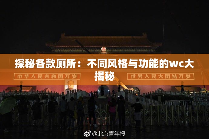 探秘各款厕所：不同风格与功能的wc大揭秘