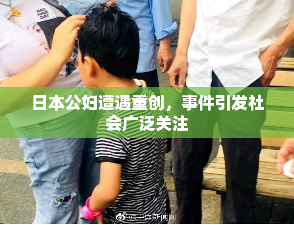 日本公妇遭遇重创，事件引发社会广泛关注