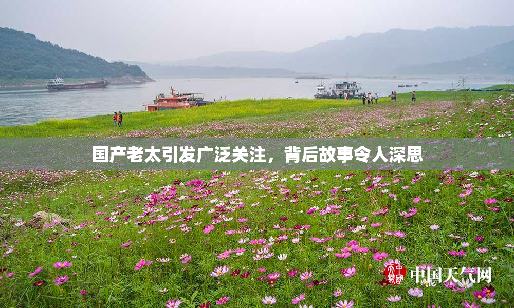 国产老太引发广泛关注，背后故事令人深思