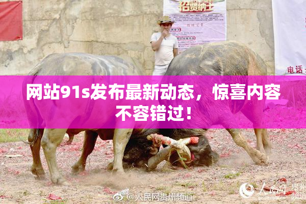 网站91s发布最新动态，惊喜内容不容错过！