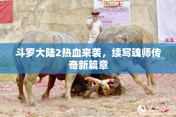 斗罗大陆2热血来袭，续写魂师传奇新篇章