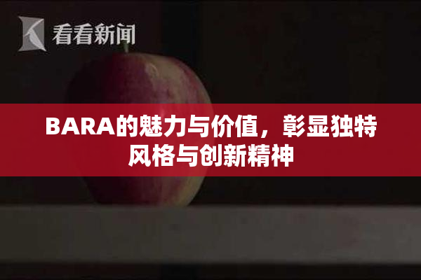 BARA的魅力与价值，彰显独特风格与创新精神