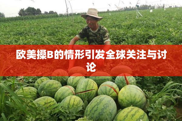 欧美搡B的情形引发全球关注与讨论