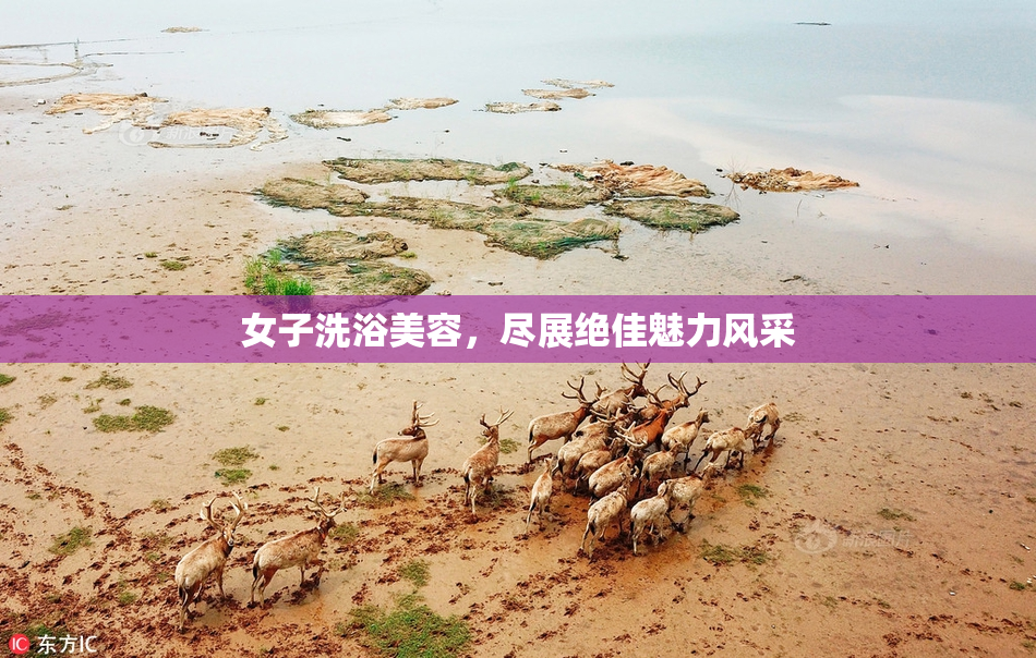 女子洗浴美容，尽展绝佳魅力风采