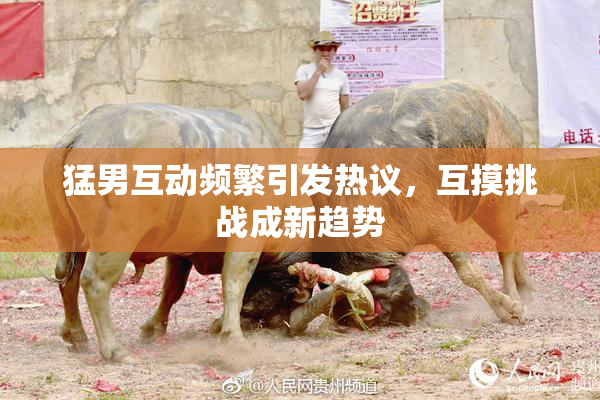 猛男互动频繁引发热议，互摸挑战成新趋势