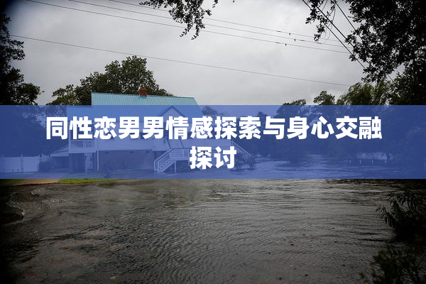 同性恋男男情感探索与身心交融探讨