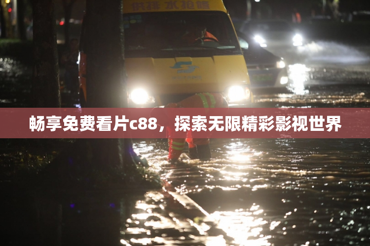 畅享免费看片c88，探索无限精彩影视世界