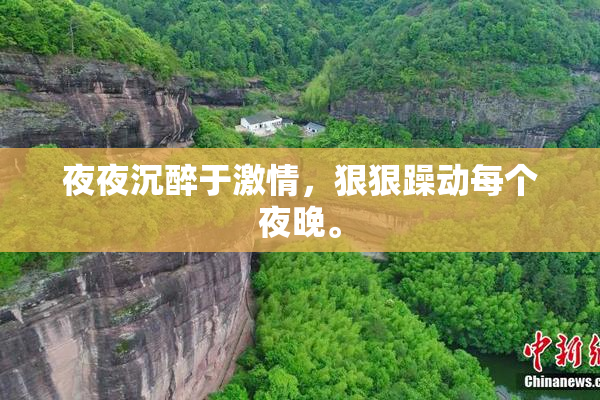 夜夜沉醉于激情，狠狠躁动每个夜晚。