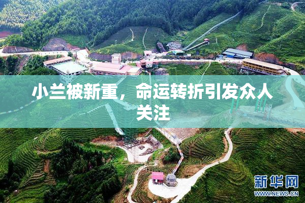 小兰被新重，命运转折引发众人关注