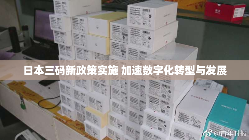 日本三码新政策实施 加速数字化转型与发展