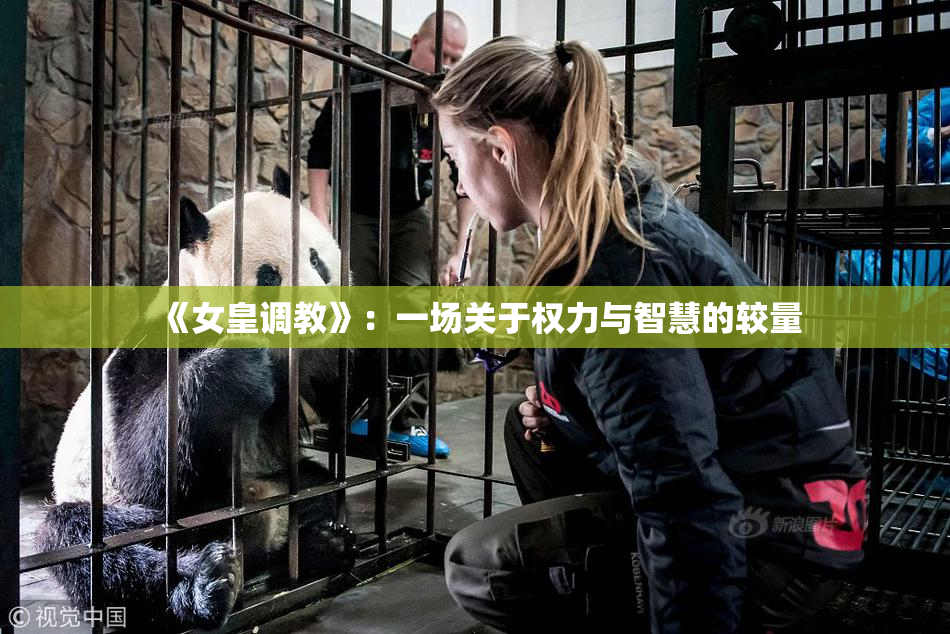《女皇调教》：一场关于权力与智慧的较量