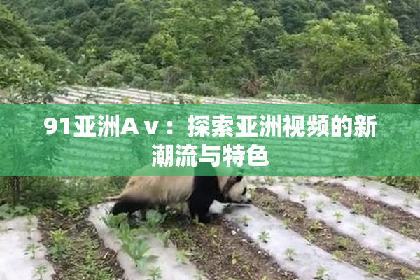 91亚洲Aⅴ：探索亚洲视频的新潮流与特色