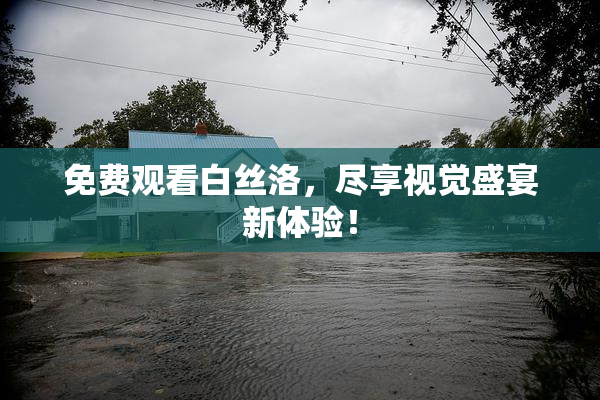 免费观看白丝洛，尽享视觉盛宴新体验！