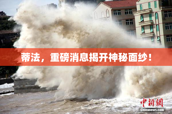 蒂法，重磅消息揭开神秘面纱！