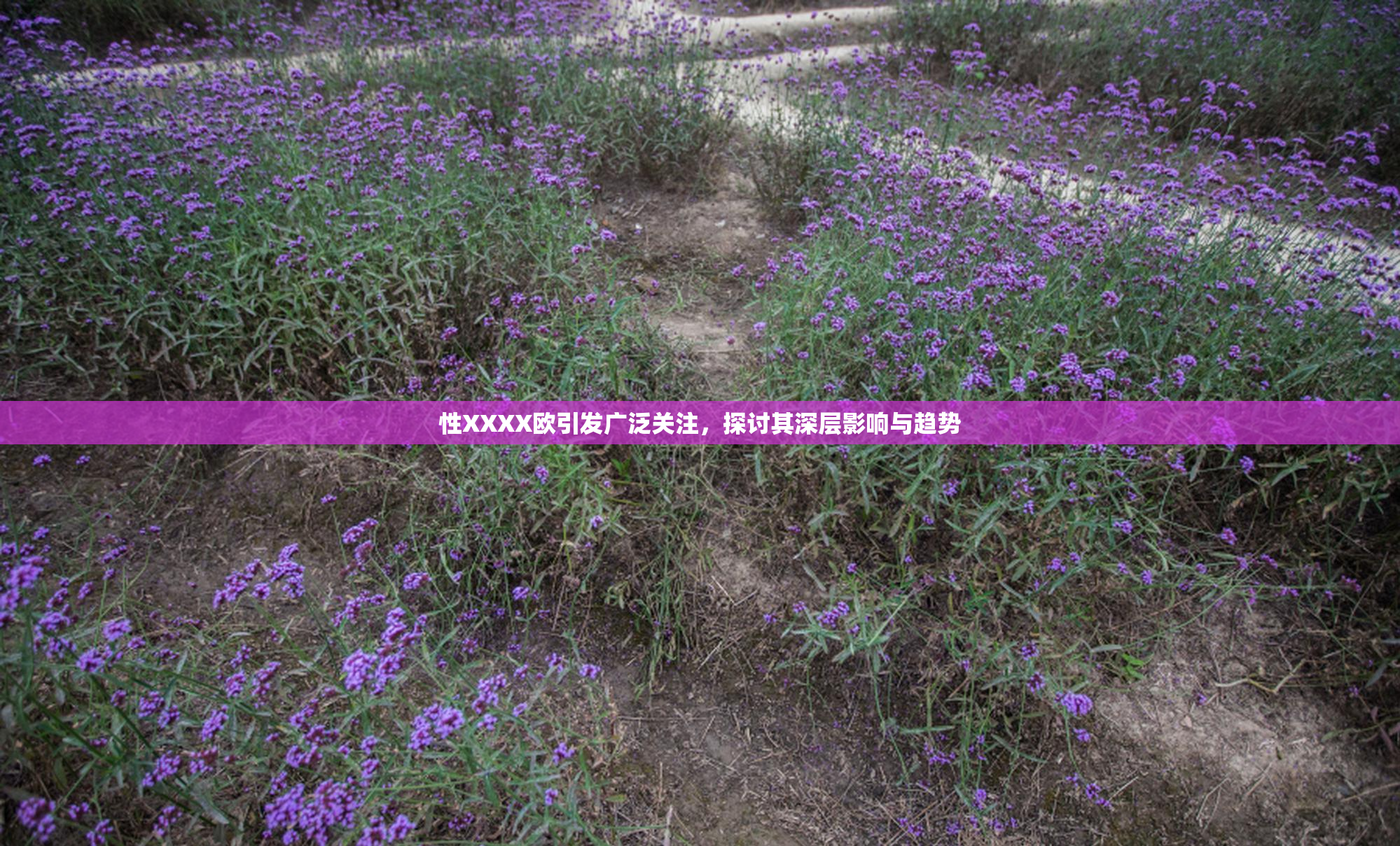 性XXXX欧引发广泛关注，探讨其深层影响与趋势