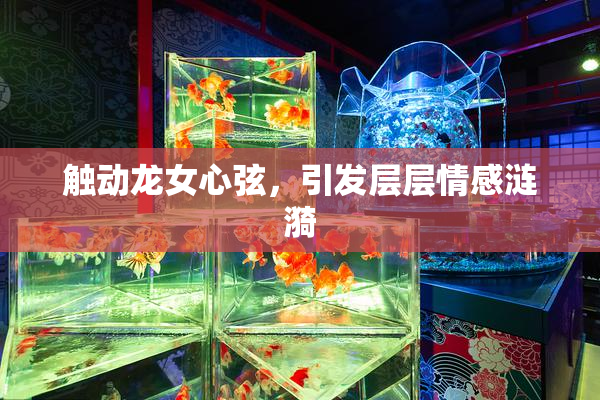 触动龙女心弦，引发层层情感涟漪