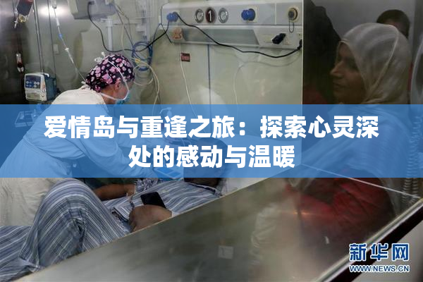 爱情岛与重逢之旅：探索心灵深处的感动与温暖