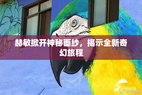 赫敏掀开神秘面纱，揭示全新奇幻旅程