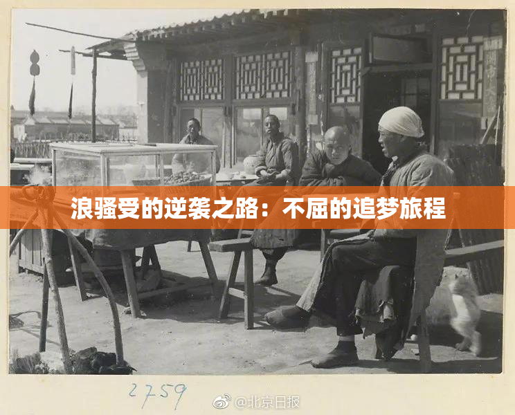 浪骚受的逆袭之路：不屈的追梦旅程