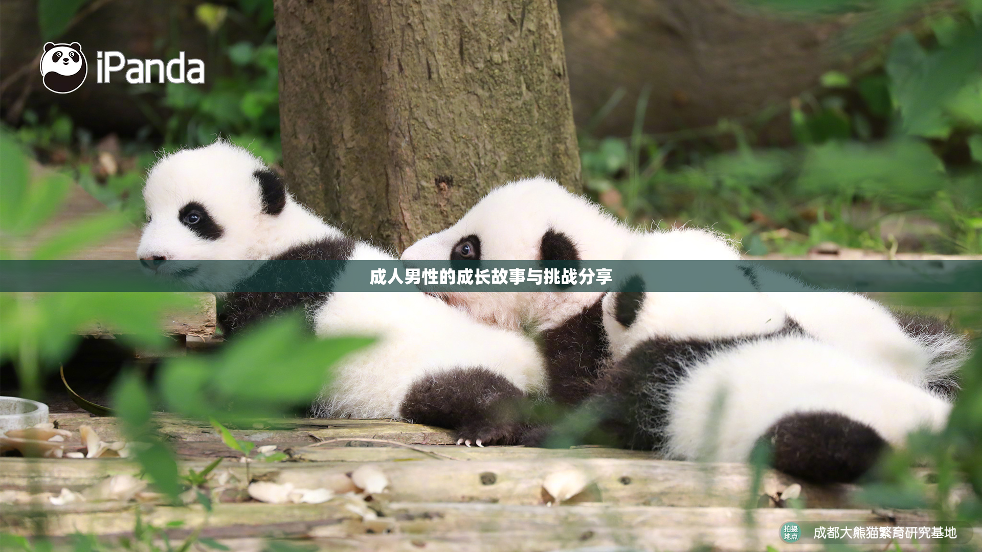 成人男性的成长故事与挑战分享
