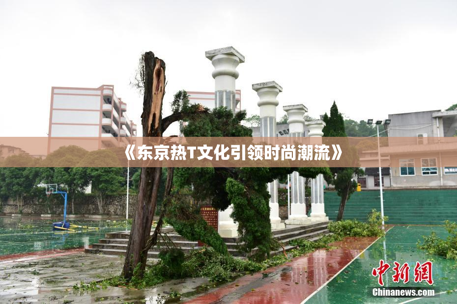 《东京热T文化引领时尚潮流》