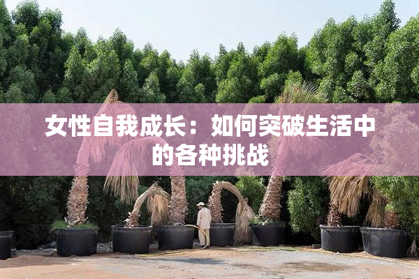 女性自我成长：如何突破生活中的各种挑战
