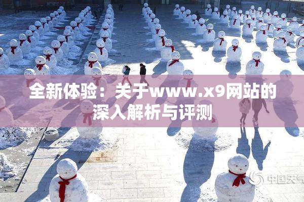 全新体验：关于www.x9网站的深入解析与评测