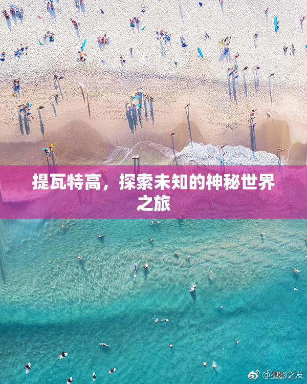 提瓦特高，探索未知的神秘世界之旅