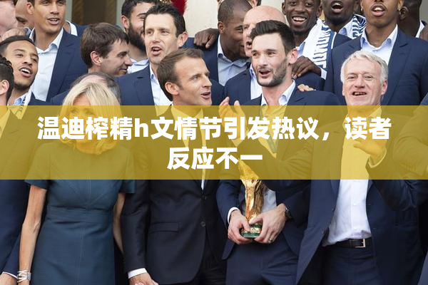 温迪榨精h文情节引发热议，读者反应不一