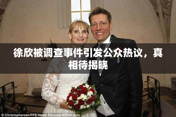 徐欣被调查事件引发公众热议，真相待揭晓