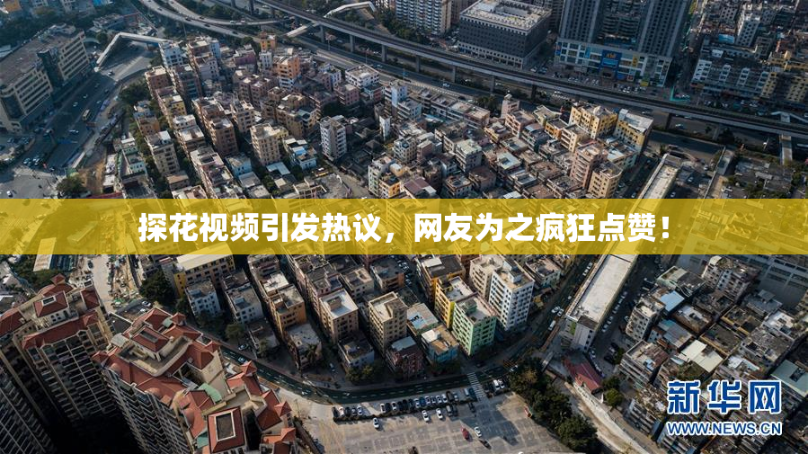 探花视频引发热议，网友为之疯狂点赞！