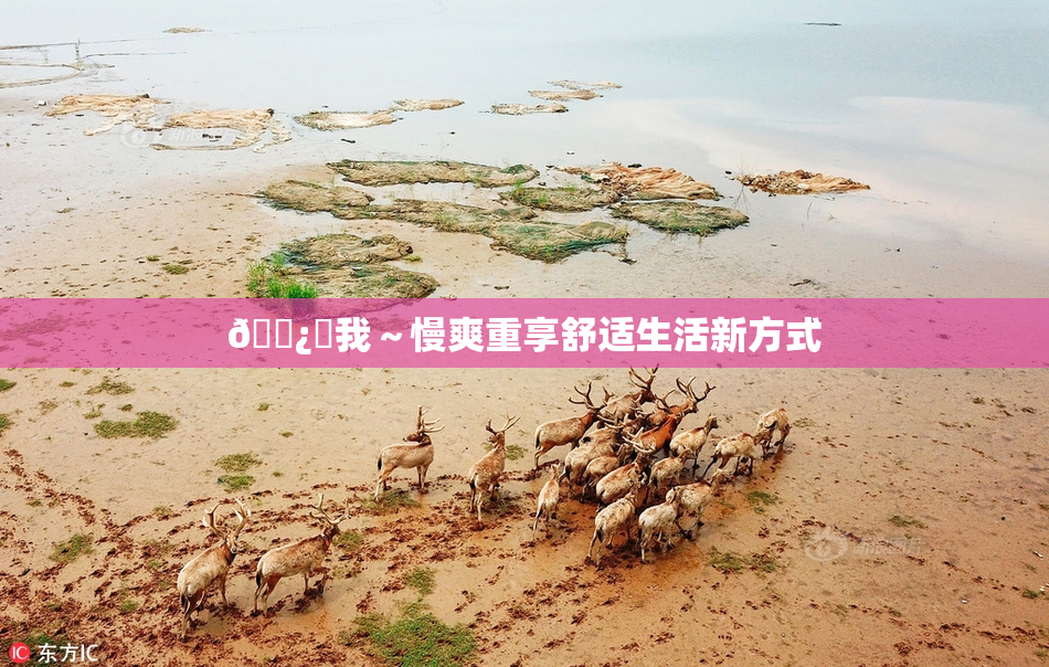 🌿‌我～慢爽重享舒适生活新方式
