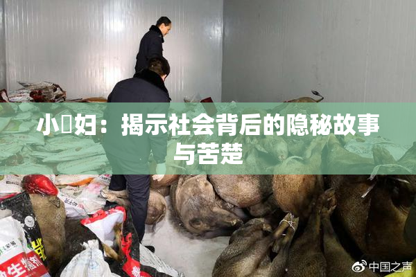 小婬妇：揭示社会背后的隐秘故事与苦楚