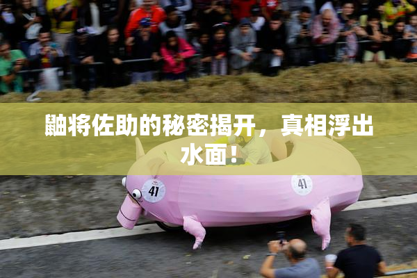 鼬将佐助的秘密揭开，真相浮出水面！